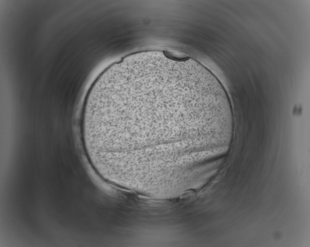 X0000102031152200808081806