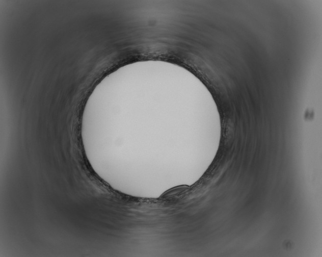 X0000102031153200808081805