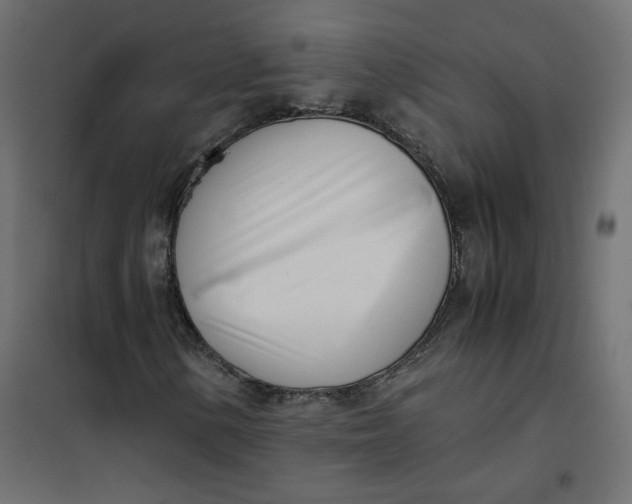 X0000102031154200808081805