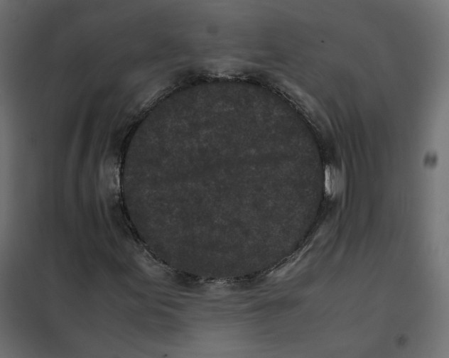 X0000102031155200808081805