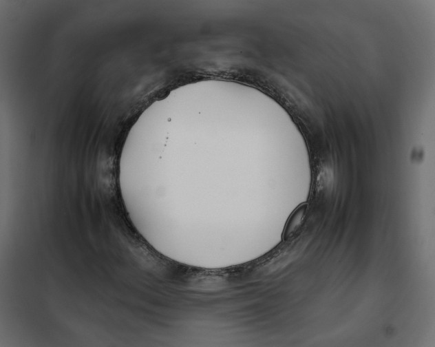 X0000102031156200808081805