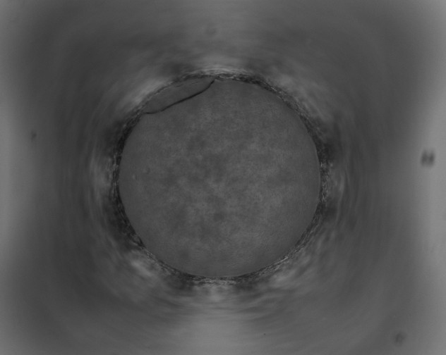 X0000102031157200808081805