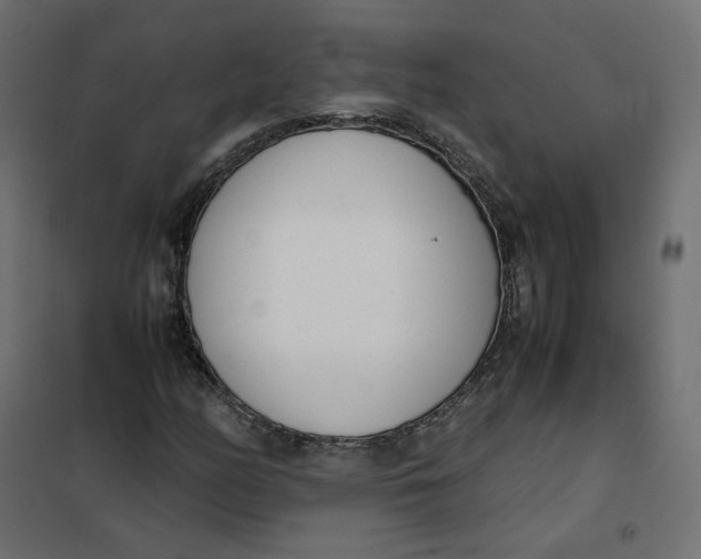 X0000102031158200808081805