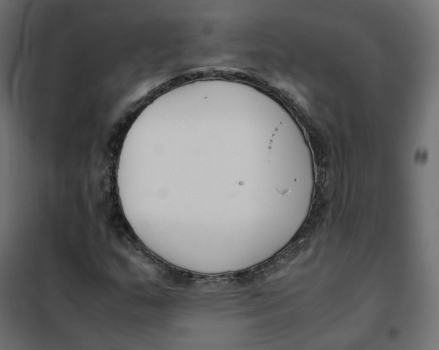 X0000102031159200808081805