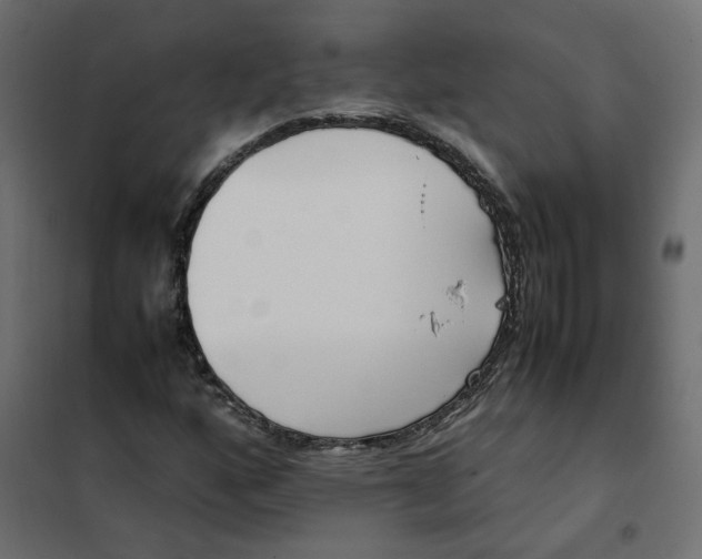 X0000102031160200808081805