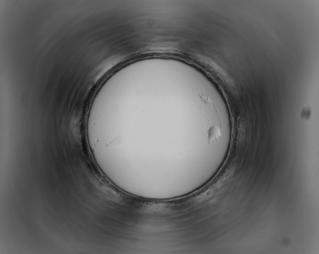 X0000102031162200808081805