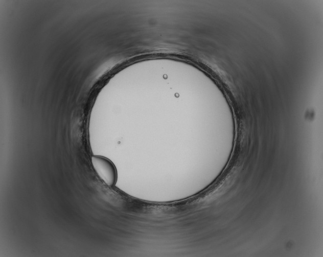 X0000102031163200808081805