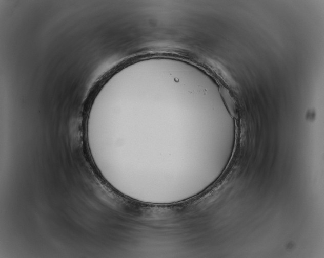 X0000102031164200808081805