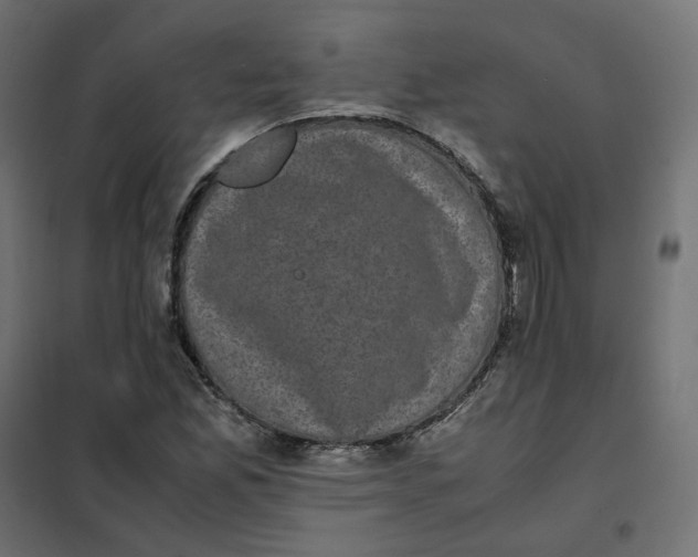 X0000102031165200808081805