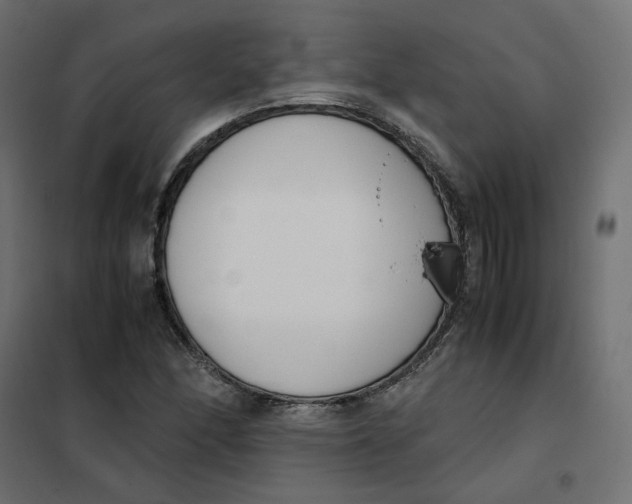 X0000102031166200808081805