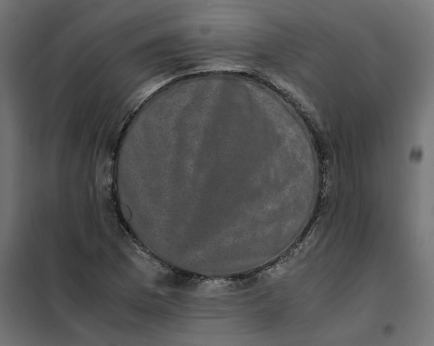 X0000102031169200808081805