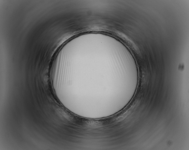 X0000102031170200808081805