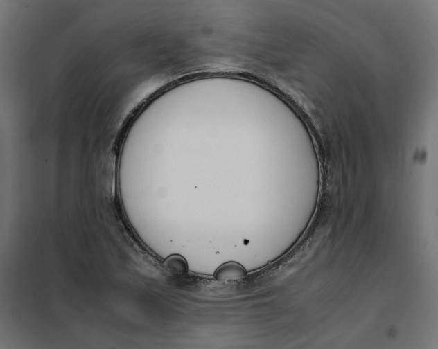 X0000102031171200808081805