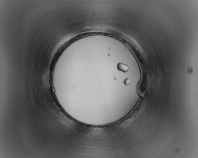 X0000102031172200808081805