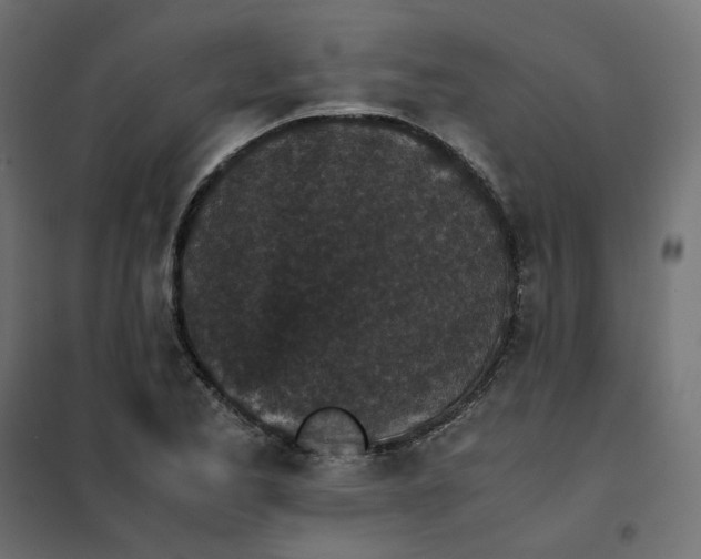 X0000102031173200808081805