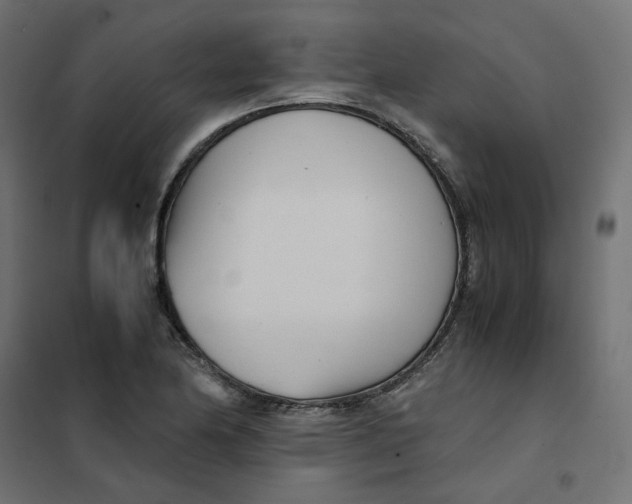 X0000102031174200808081805