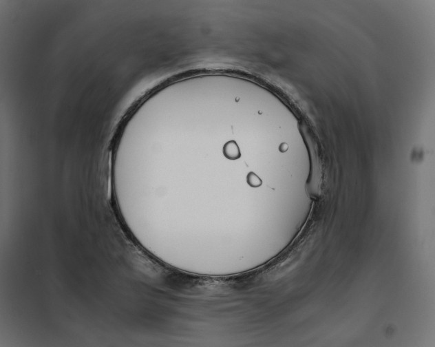 X0000102031175200808081805