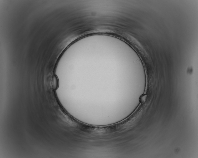 X0000102031177200808081805