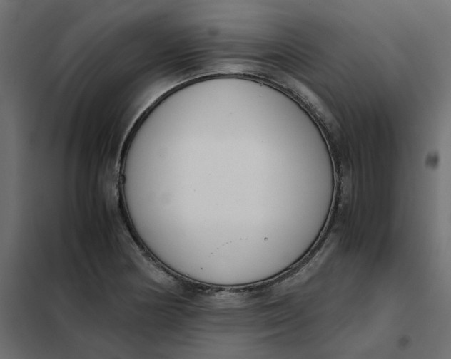 X0000102031178200808081805