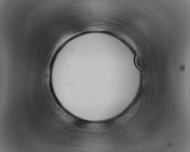 X0000102031179200808081805