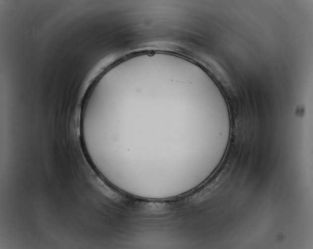 X0000102031180200808081805