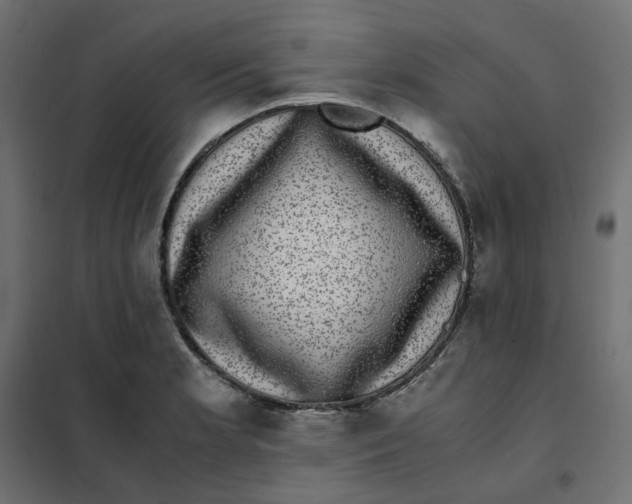 X0000102031181200808081805