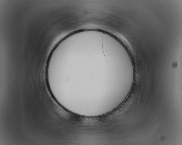 X0000102031183200808081805