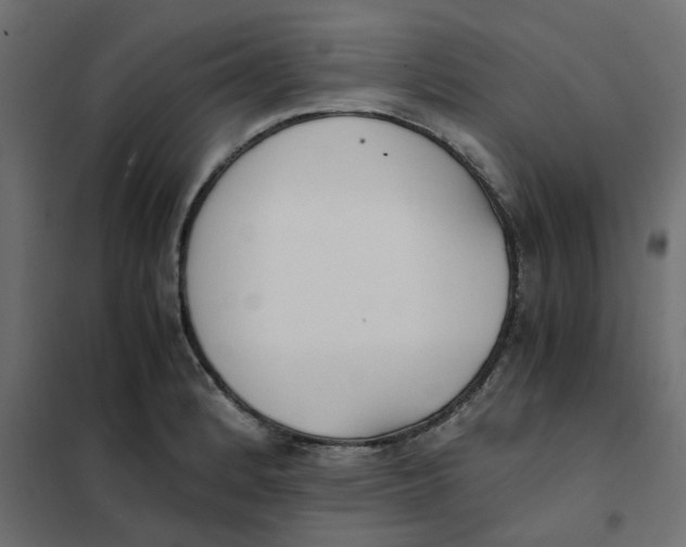 X0000102031184200808081805