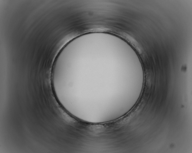 X0000102031186200808081805