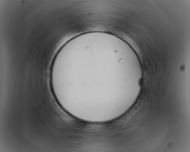 X0000102031187200808081805