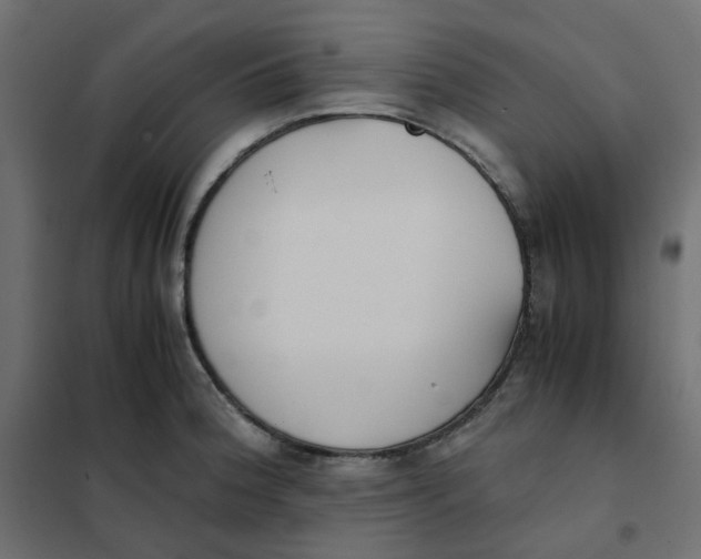 X0000102031188200808081805