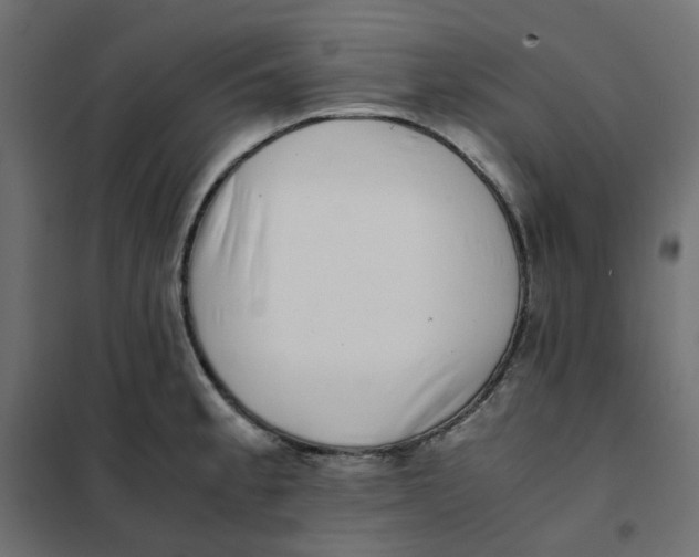 X0000102031189200808081805