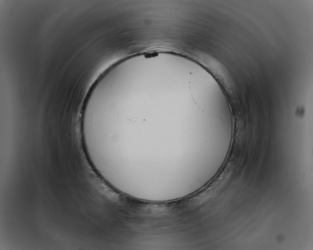 X0000102031190200808081805