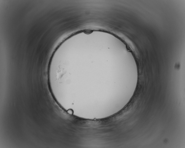 X0000102031191200808081805