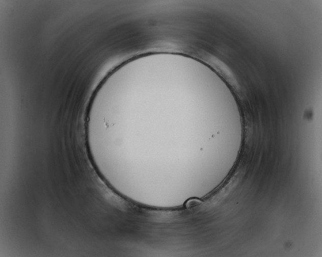 X0000102031192200808081805