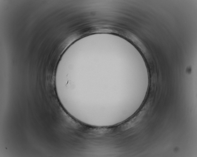 X0000102031193200808081805