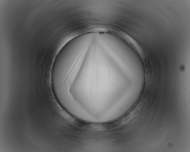 X0000102031194200808081805