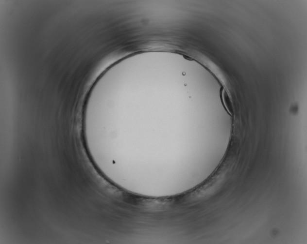 X0000102031195200808081805