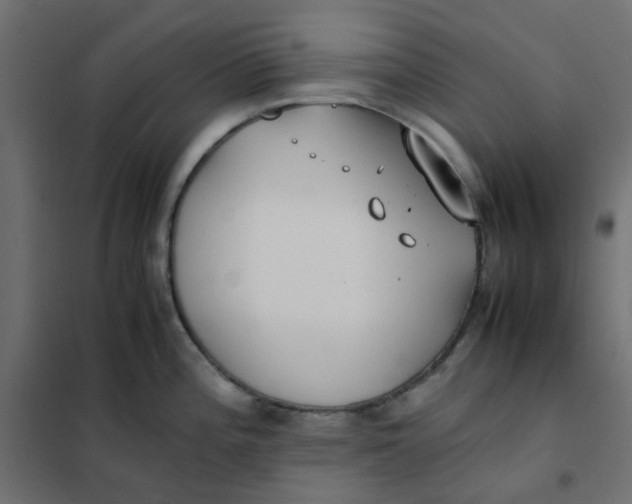 X0000102031196200808081805