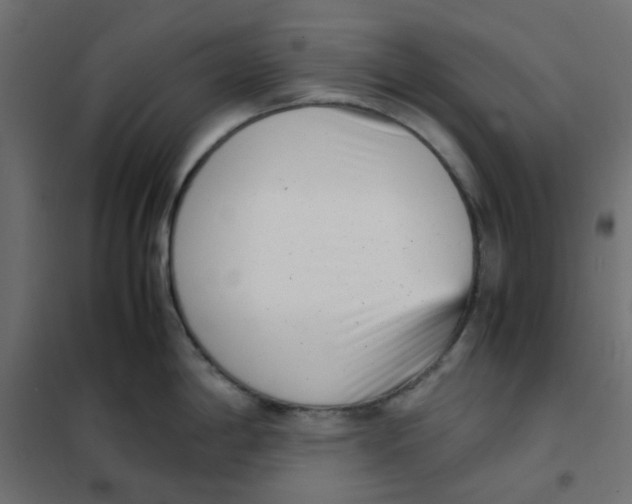 X0000102031198200808081805