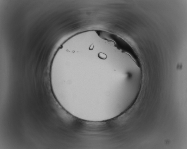 X0000102031200200808081804