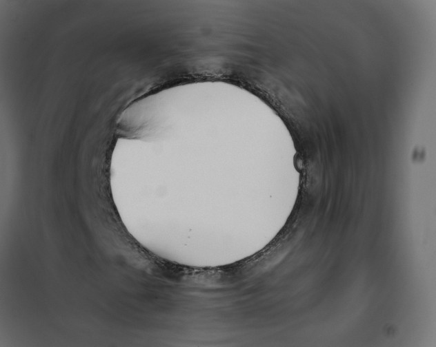 X0000102031201200808081804