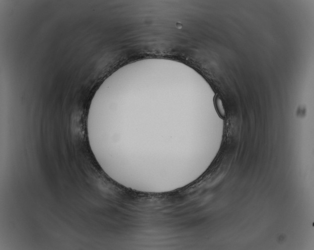 X0000102031202200808081804