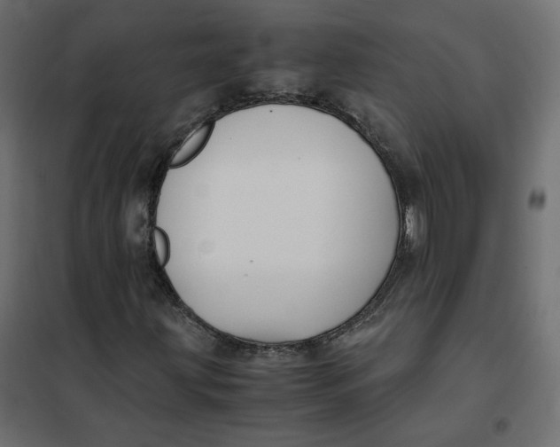 X0000102031203200808081804