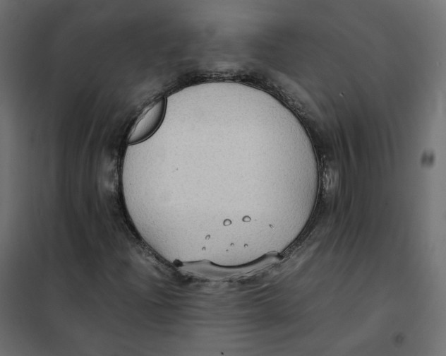 X0000102031204200808081804