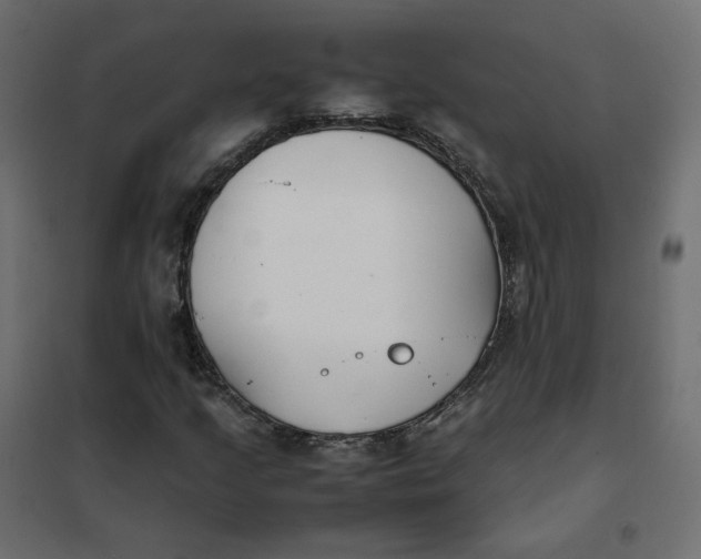 X0000102031205200808081804