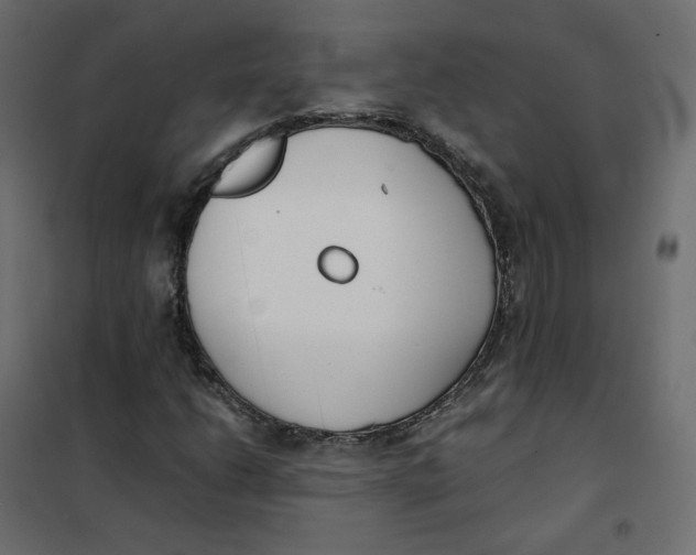 X0000102031206200808081804