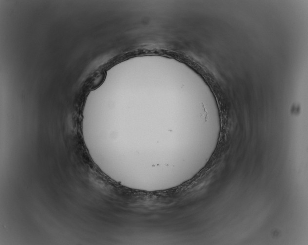 X0000102031207200808081804