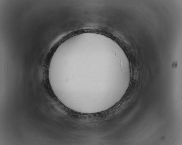 X0000102031208200808081804