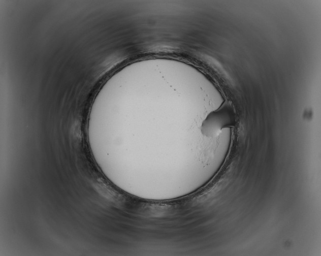 X0000102031209200808081804